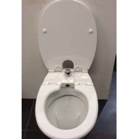 Copriwater - bidet forma Universale
