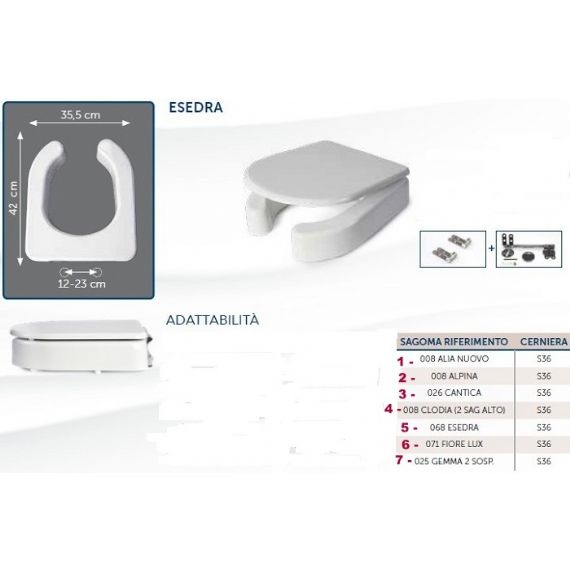 Disabile forma ESEDRA ( compatibilie ) h. 10 